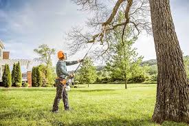 Best Arborist Consultation Services  in Commercial Point, OH